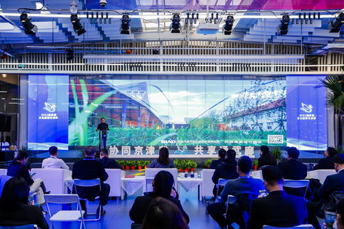 今起通武廊捧出 冬奧 文化體驗(yàn) 等15場(chǎng)文化活動(dòng)